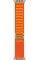 Apple Watch Ultra 49mm Titanium Case with Orange Alpine Loop Large